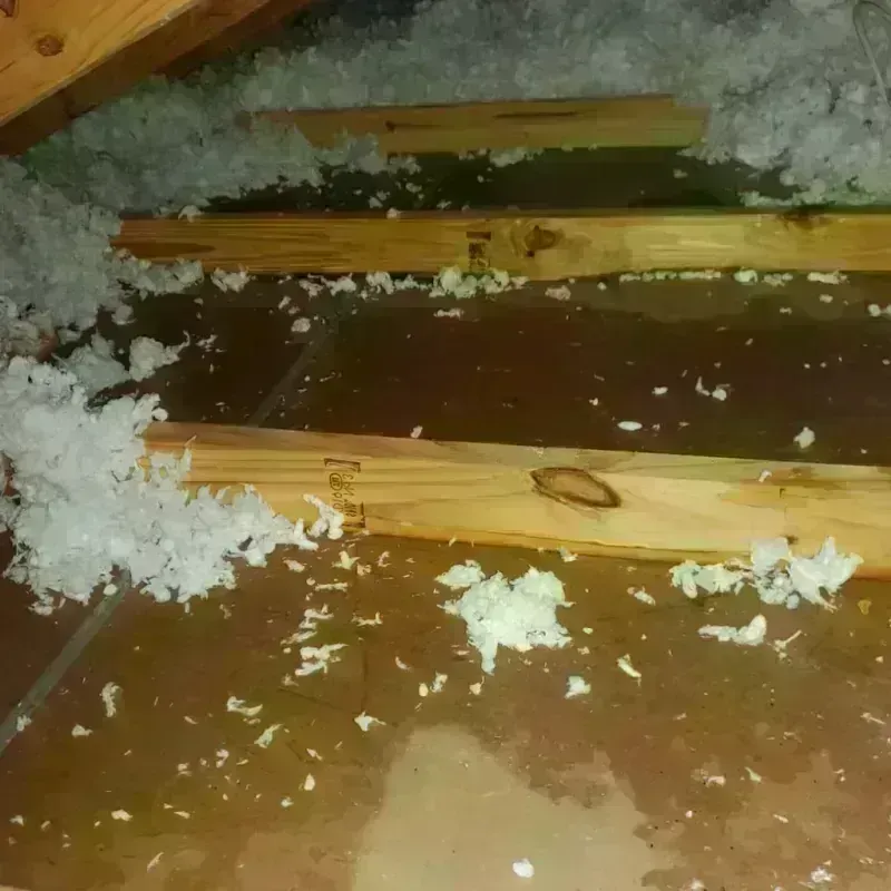 Attic Water Damage in Windham, NH