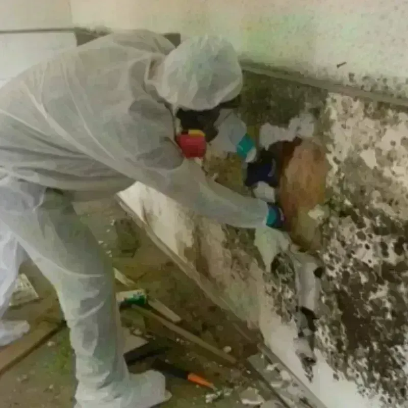 Mold Remediation and Removal in Windham, NH